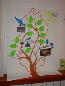 Presenting results achieved in Albania
