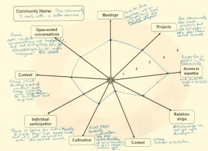 Example of a Spidergram filled out
