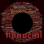 finance management for NGOs